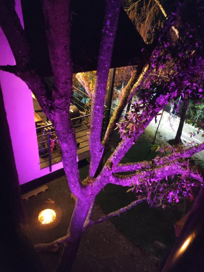 Cabanas San Marcos Mazamitla Zewnętrze zdjęcie
